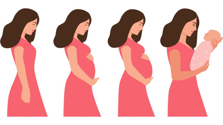 All about pregnancy and childbirth