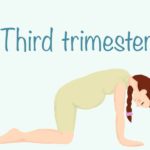 Third trimester of pregnancy