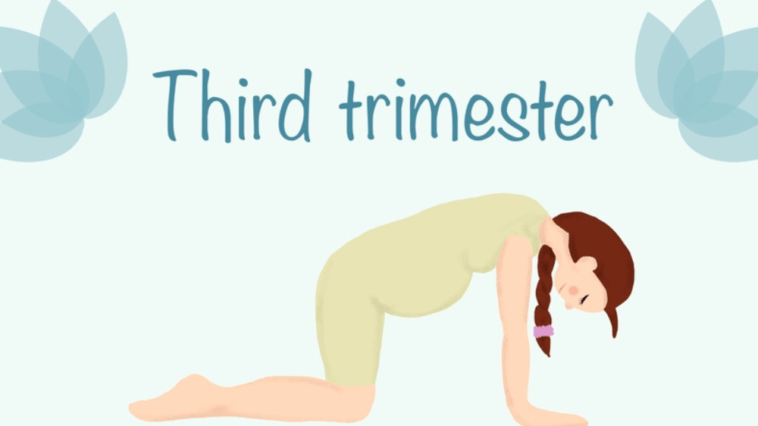 Third trimester of pregnancy