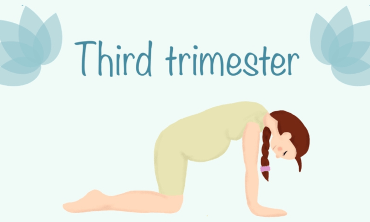 Third trimester of pregnancy