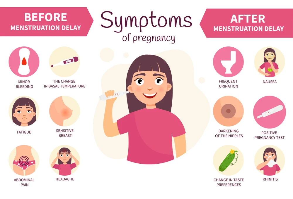 Pregnancy-Due-Date-Calculator