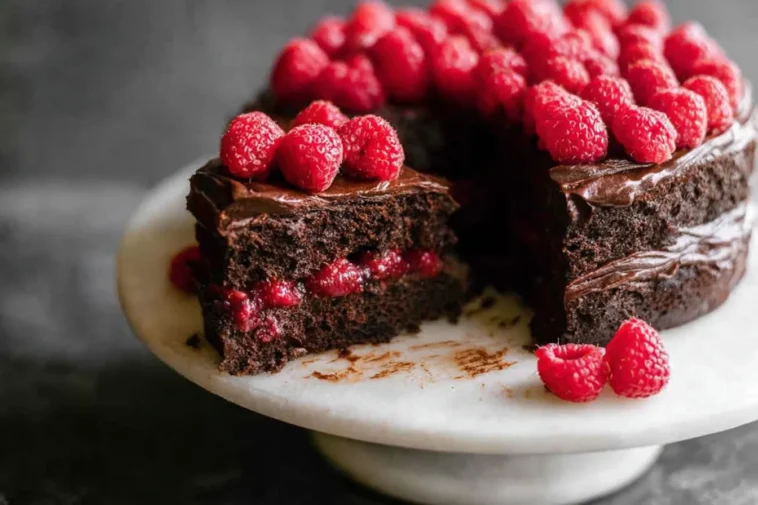 Chocolate Raspberry Cake Slice