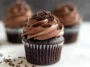 Easy Chocolate Cupcakes Freshly Baked