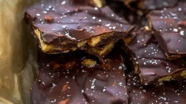 Viral Chocolate Date Bark – 4 Ingredients Delicious Treat