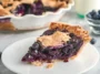 Homemade Blueberry Custard Pie Freshly Baked
