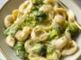 Creamy Broccoli Pasta in a One Pot