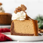 Gingerbread Cheesecake Slice with Whipped Cream