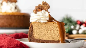 Gingerbread Cheesecake Slice with Whipped Cream