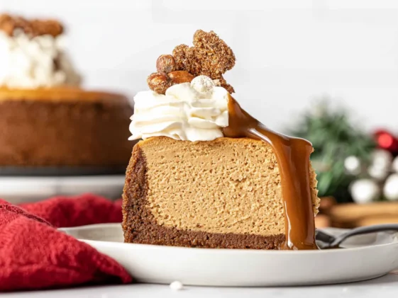 Gingerbread Cheesecake Slice with Whipped Cream