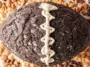 Oreo Cookies and Cream Cheese Ball Ready to Serve
