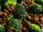 Ground Beef and Broccoli Stir-Fry – Quick Dinner Delight