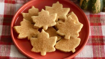 Delicious Gluten Free Vegan Pumpkin Sugar Cookies