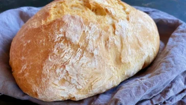 Golden Crust of Rustic Italian Crusty Bread