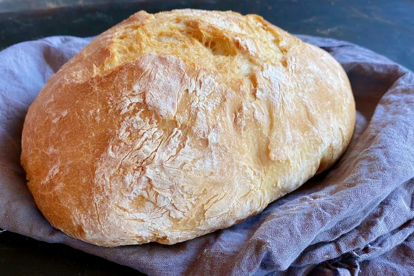 Golden Crust of Rustic Italian Crusty Bread