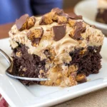 Delicious Reese’s Peanut Butter Cup Poke Cake on a plate